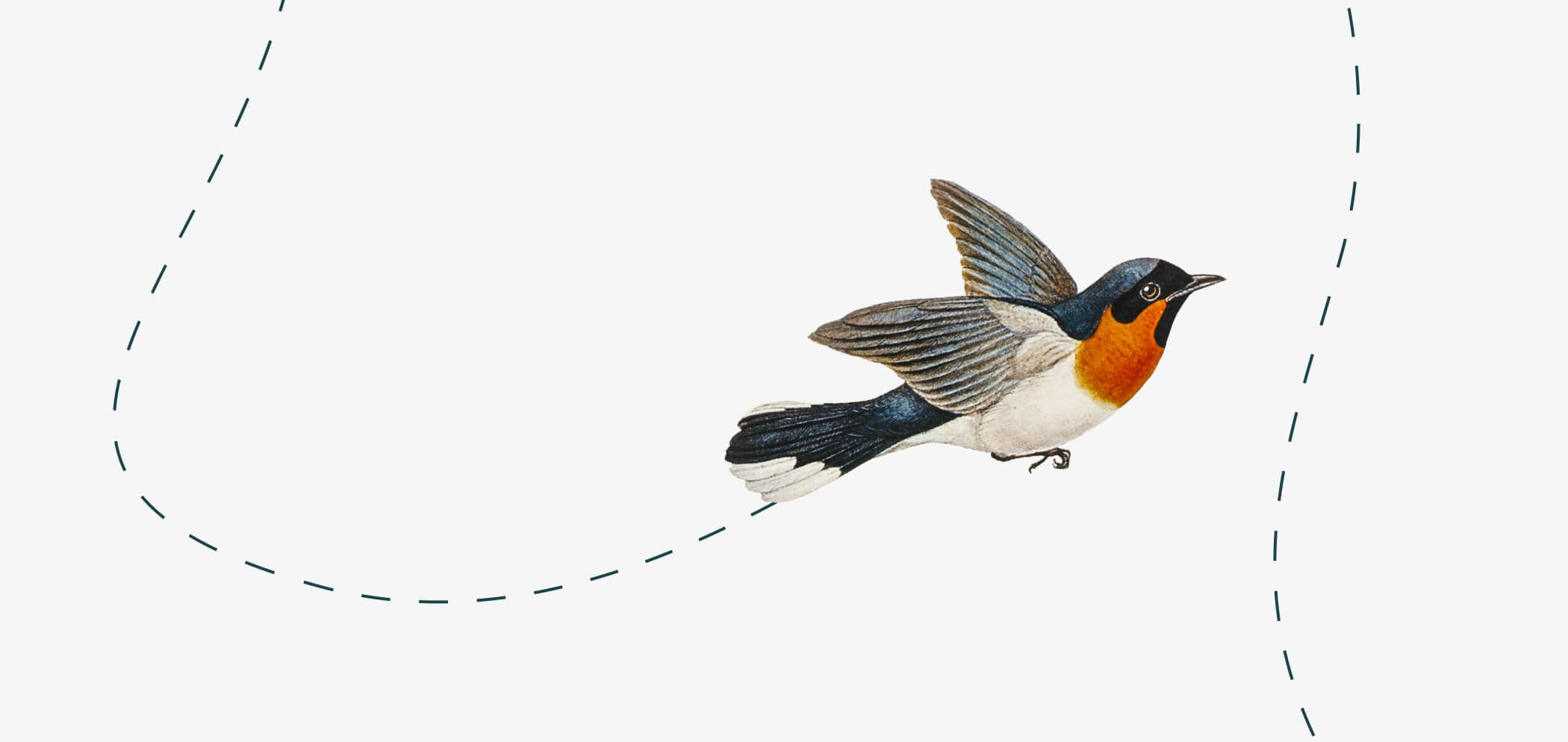 Иллюстрация летящей птицы.